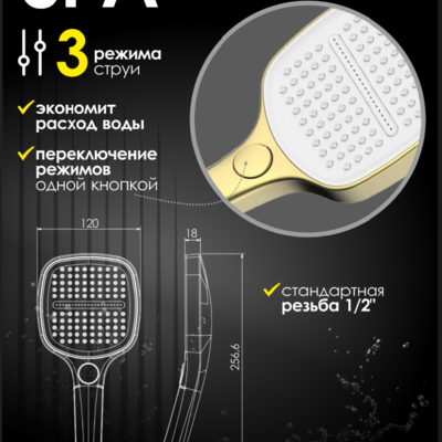 ������� ����� ���������� 3 ������ �� ABS �������� ALLENDORF AD-7711 Matt Gold. ��� 2